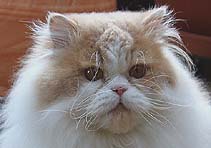 Edradour vom Nordexpress