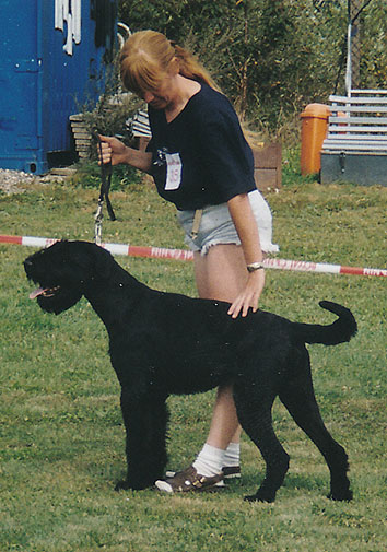 Islay v. Nordexpress