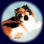 Oxana vom Dichterweg