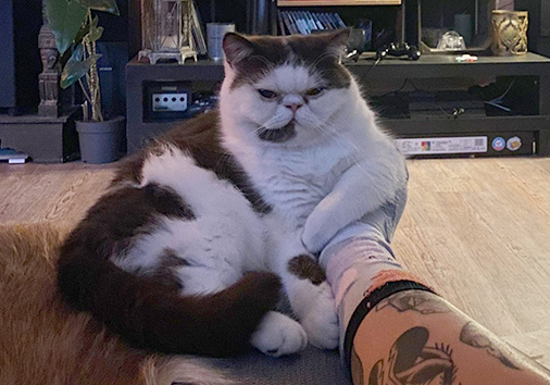 Quiana vom Nordexpress, 1 Jahr 1 Monat alt