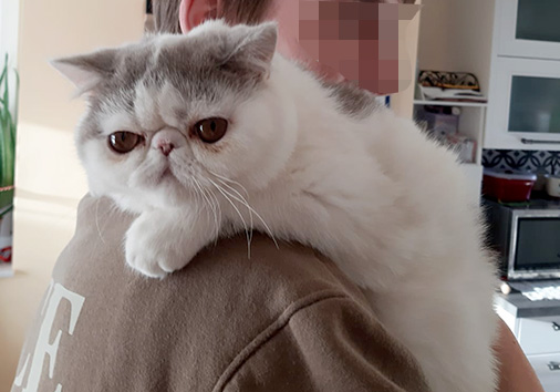 Raasay vom Nordexpress, 7 Monate alt